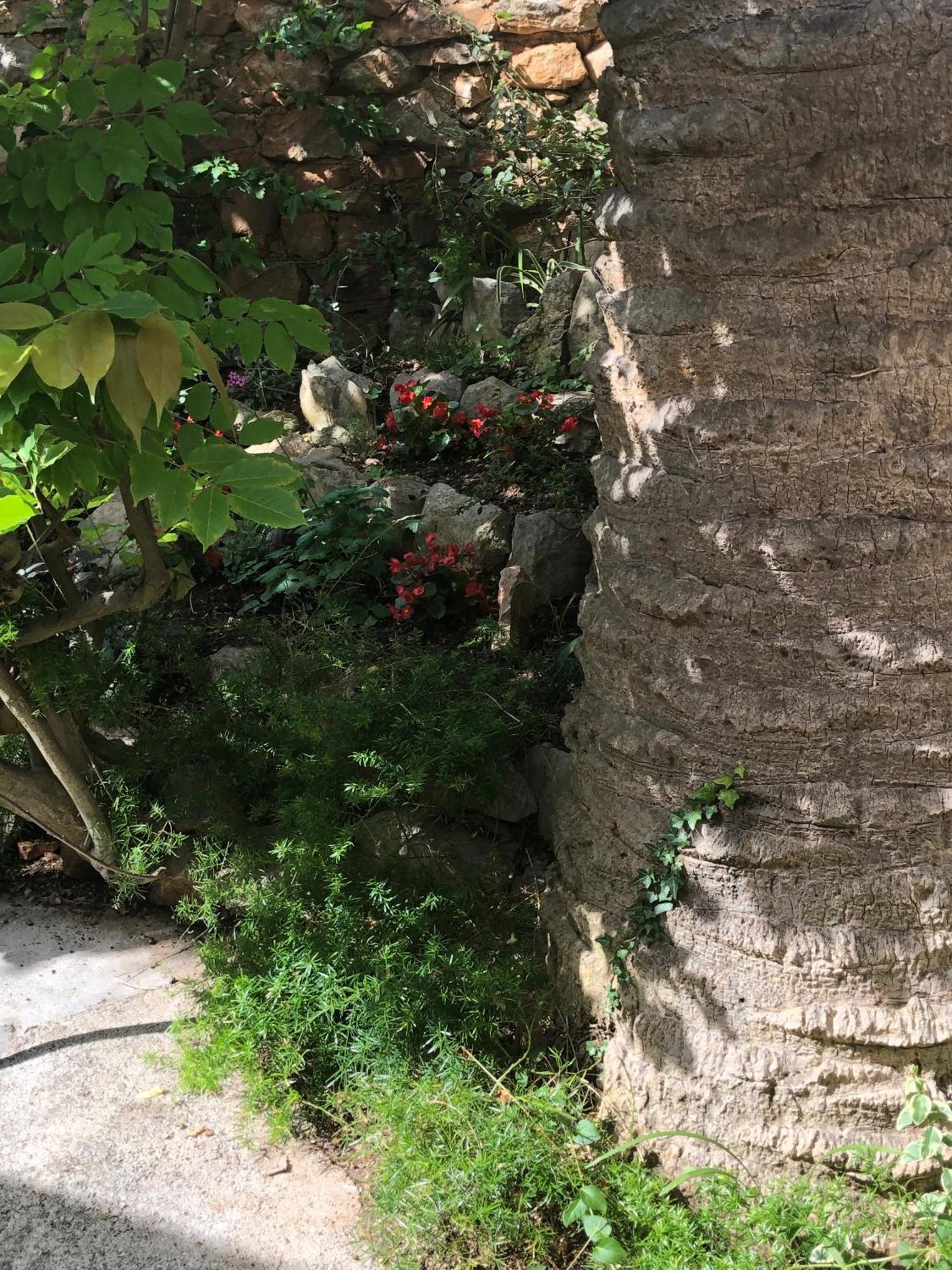 Apartments Veli Lošinj Екстериор снимка
