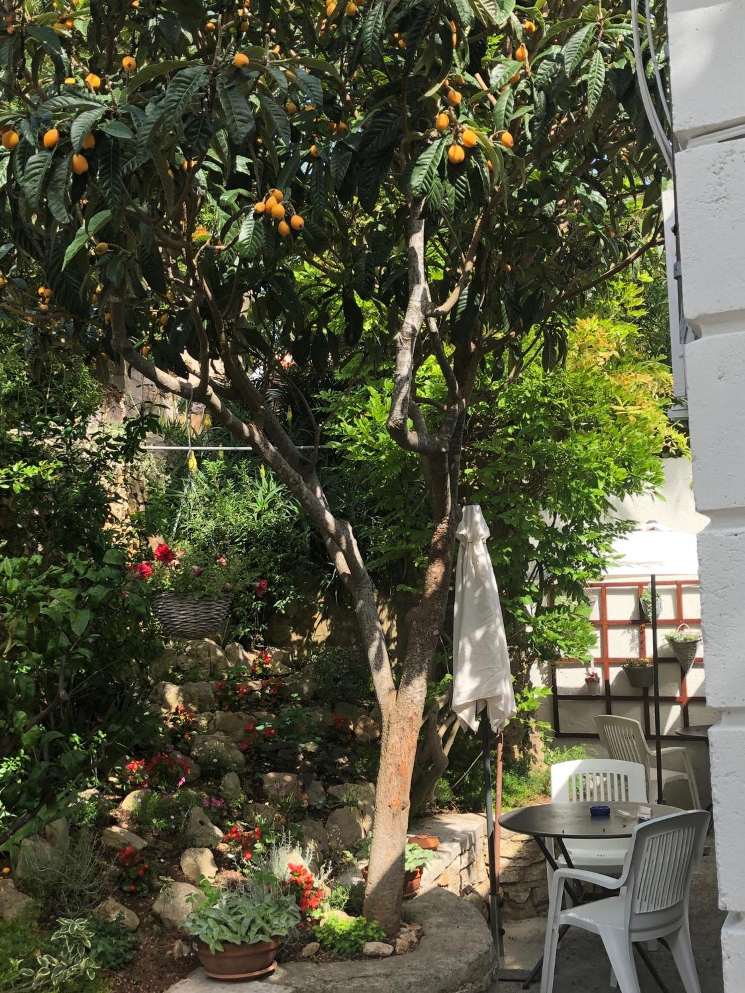 Apartments Veli Lošinj Екстериор снимка