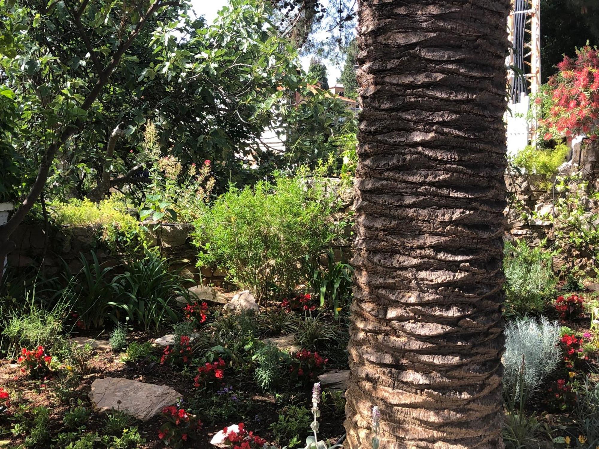 Apartments Veli Lošinj Екстериор снимка