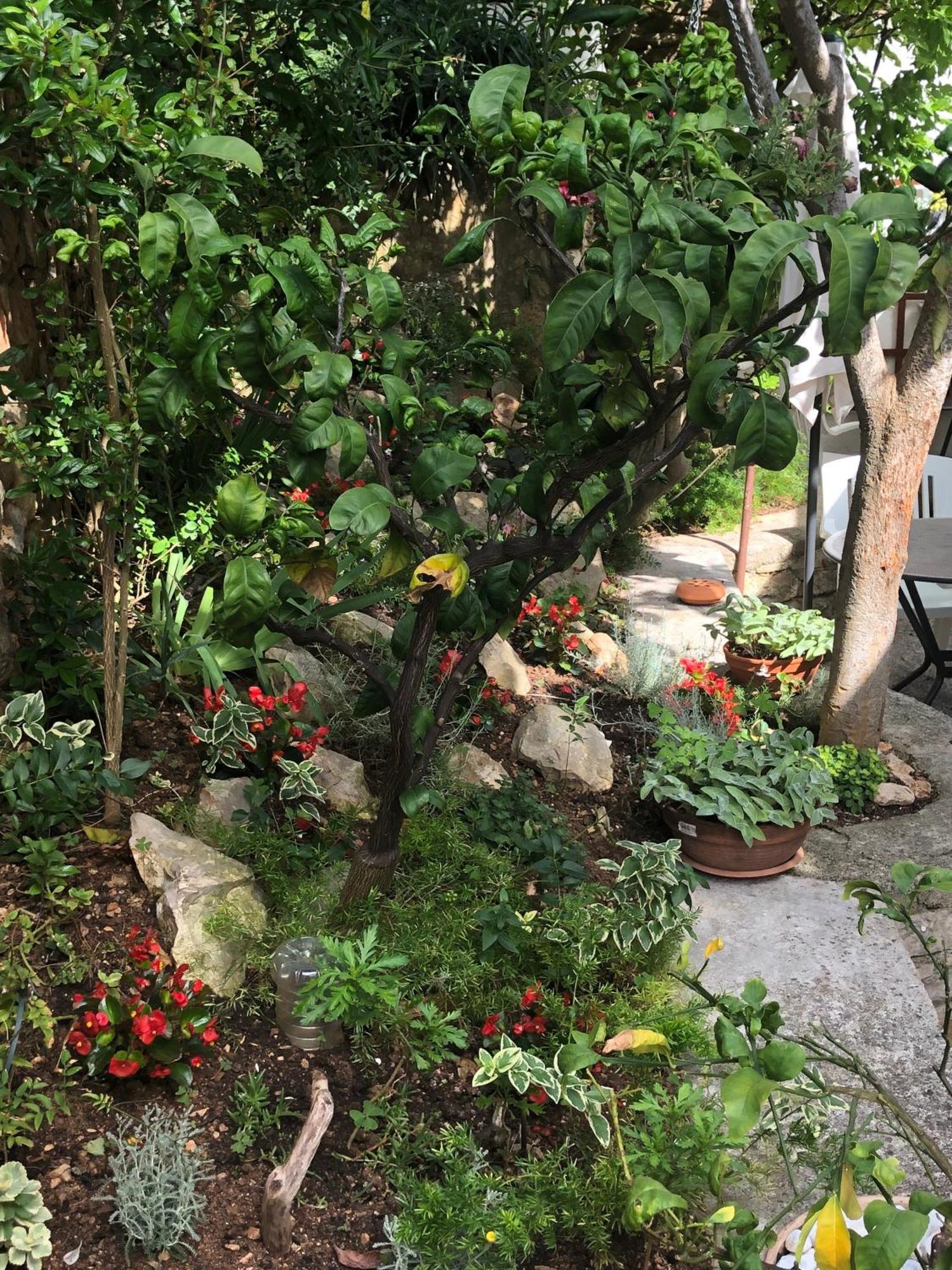 Apartments Veli Lošinj Екстериор снимка