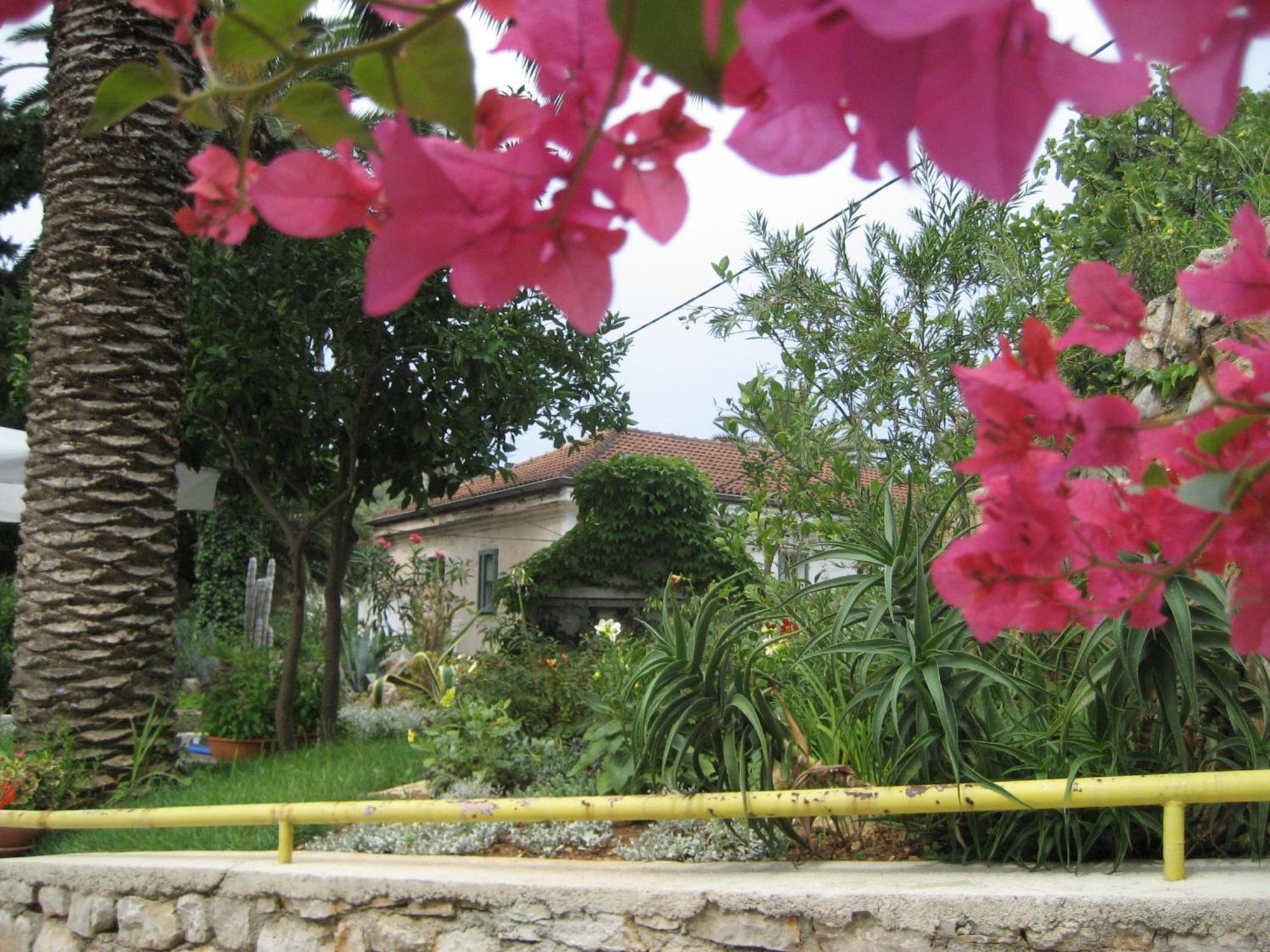 Apartments Veli Lošinj Екстериор снимка