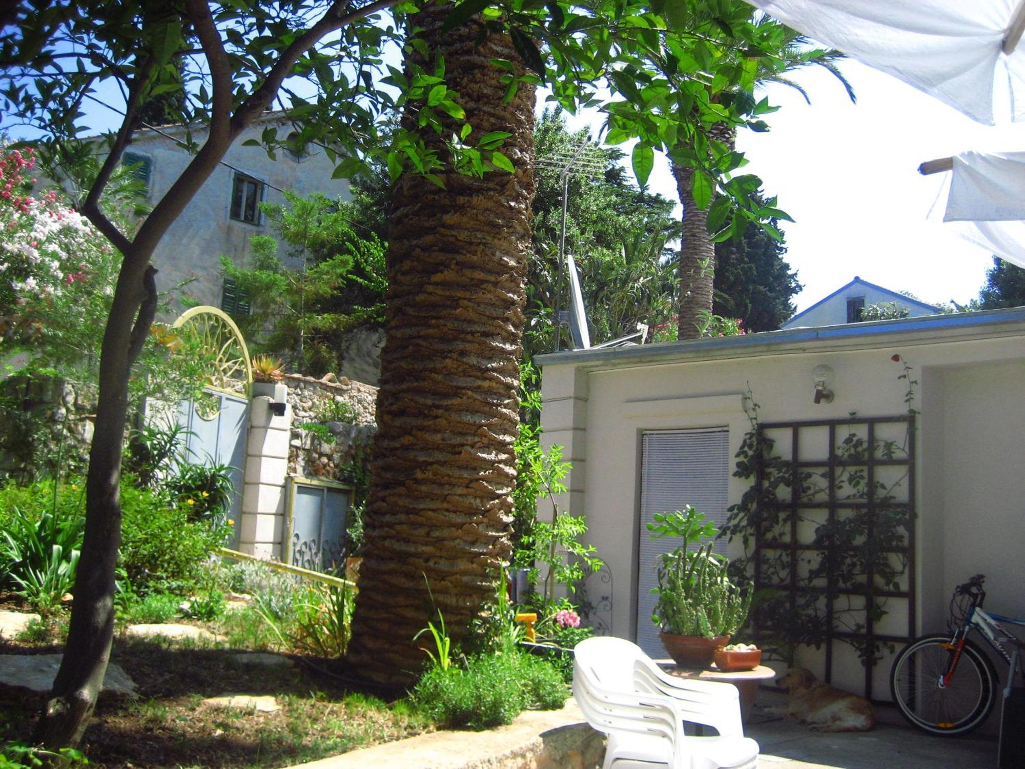 Apartments Veli Lošinj Екстериор снимка